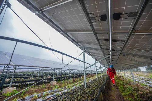 中國十三省最大光伏電站在這里！欽州康熙嶺的光伏電站能排上號(hào)了嗎？